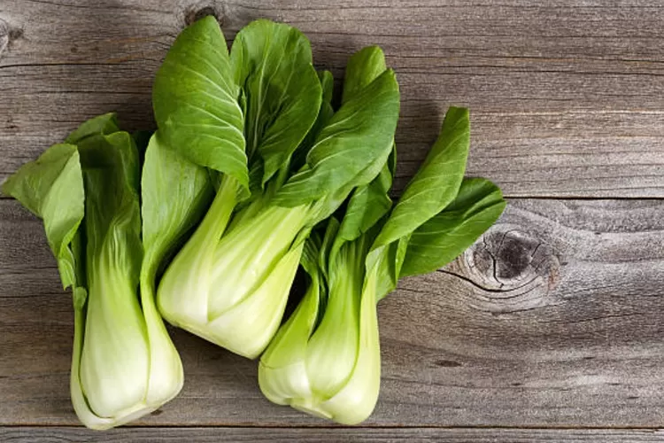 Fakta di Balik Klaim Pakcoy Kaya Kolagen dan Manfaatnya untuk Kulit