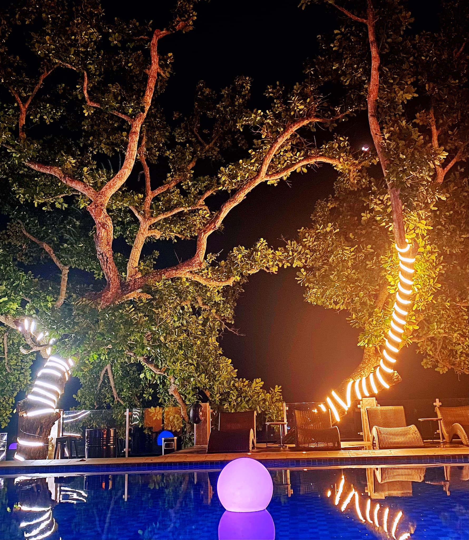 YOLO vs YONO: Gaya Hidup Finansial Anak Muda, Antara Nikmati Sekarang atau Amankan Masa Depan 