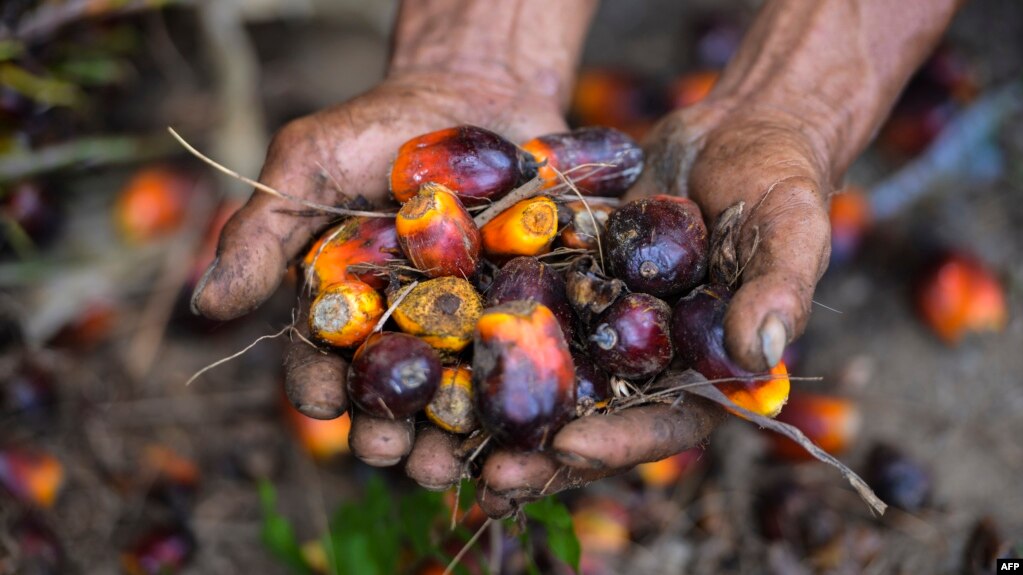 Indonesia Desak Uni Eropa Hapus Bea Masuk Biodiesel