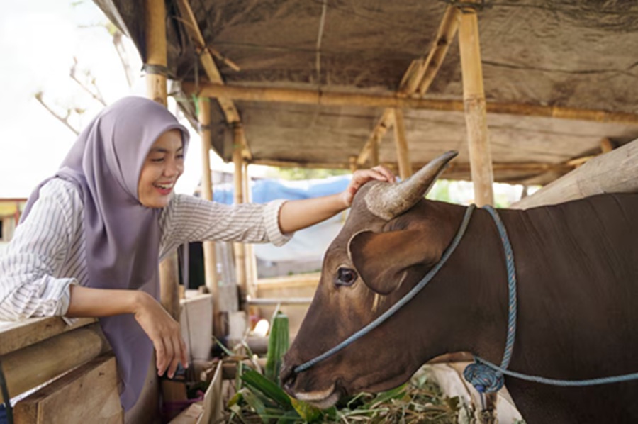 Gen Z dan Kurban: Saatnya Paham, Bukan Sekadar Ikut Tren Idul Adha
